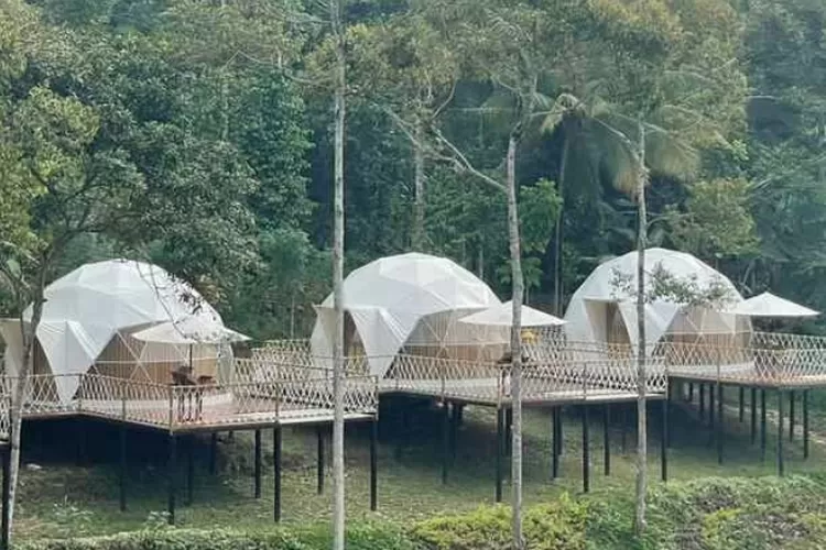 Destinasi Glamping Jarak Tempuh 2 Jam Dari Jakarta