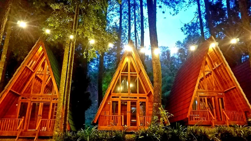 Glamping di Hutan Pinus Untuk Keluarga Muda