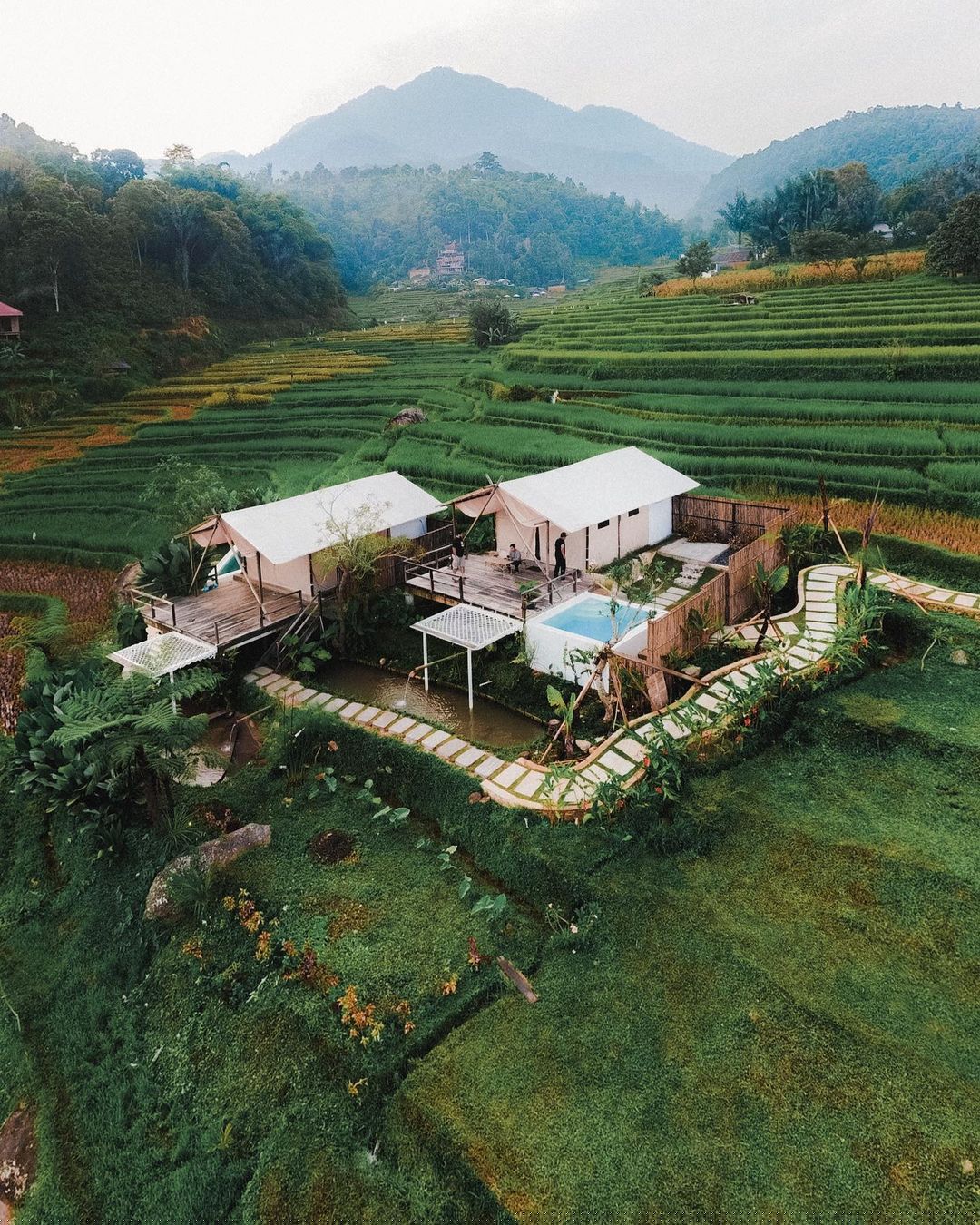 Glamping Tengah Sawah Dengan Pemandangan Alam Hijau