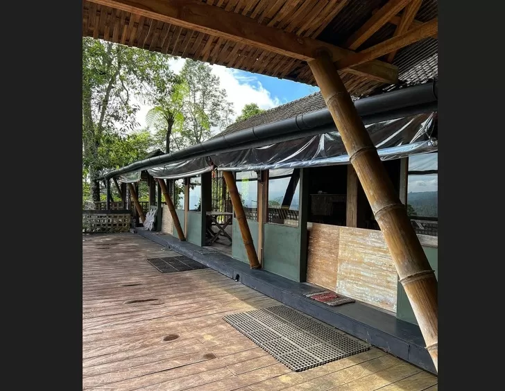 Pengalaman Glamping Mewah di Tengah Hutan