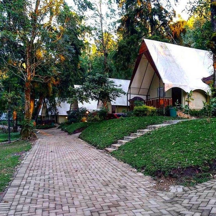 Penginapan Glamping Alam Terbuka di Jawa